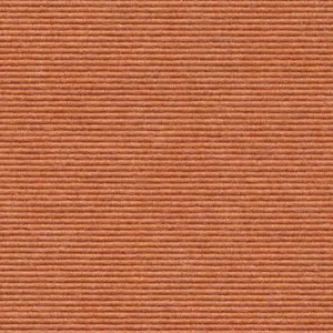 Interland - 1010110591 591 - Lachs