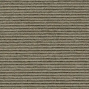 Interland - 2020211642 642 - Thymian