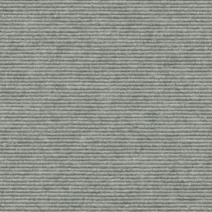 Interland - 2020211648 648 - Nebel